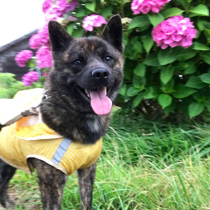 3bd88800 24a9 45a2 a42e 7f12a10ba141