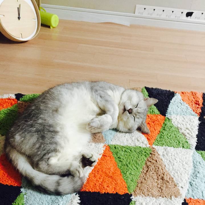 3bd8d87f 426f 4d47 932f 5cff995b809c