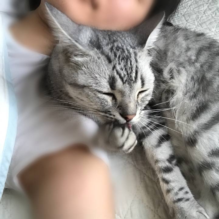 3bd955d0 cdd9 4d11 a84d 7fdcd61ea2be