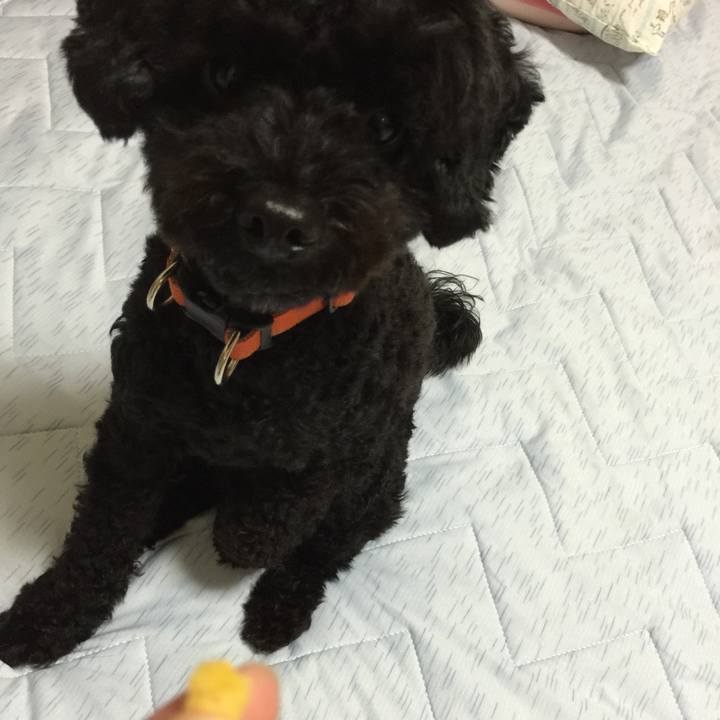 3bd988d2 e1f9 44da a69c 6d4a25aa9119