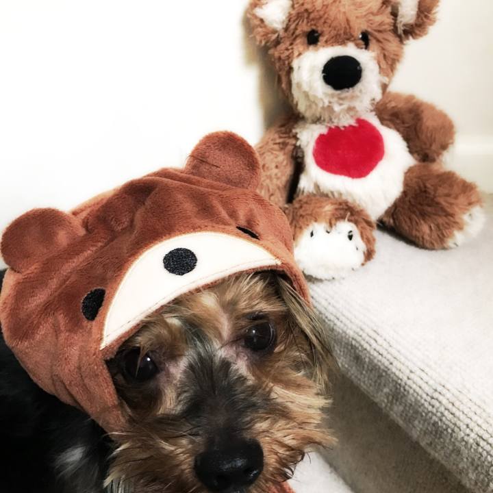 3bd9d5dc e741 412a 99cf c010df5bd397