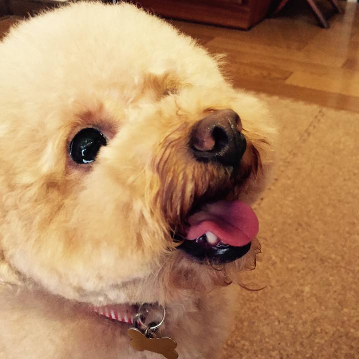 3bd9df08 115c 4320 897b 36d7d7bb7c33