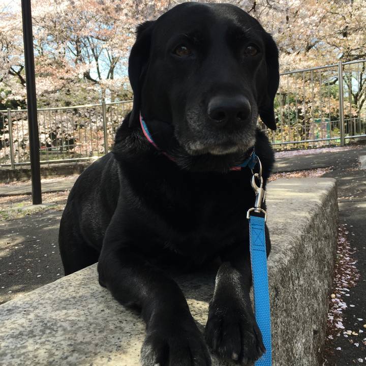 3bda23b1 febd 4720 8bc4 9c11a10b1b88