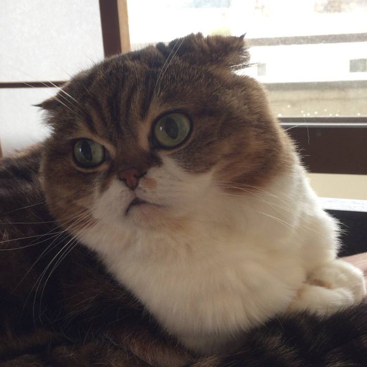 3bda2c5d a338 4e46 9c87 7aa1670501d7