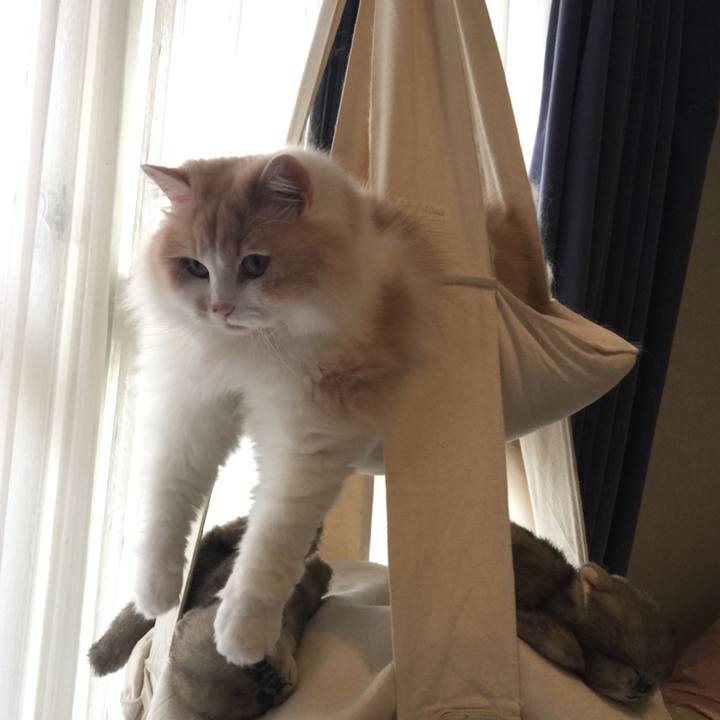 3bda4c55 81e5 4b2b bdc0 8aa3b6686c37