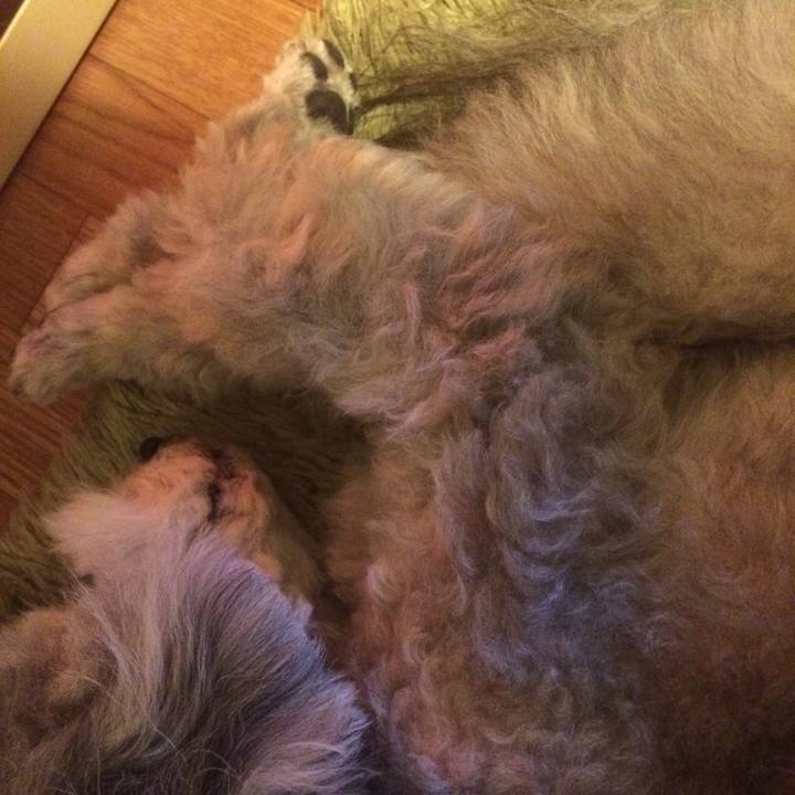 3bdc1a1f a5ad 47e2 ab96 82dd55538fcb