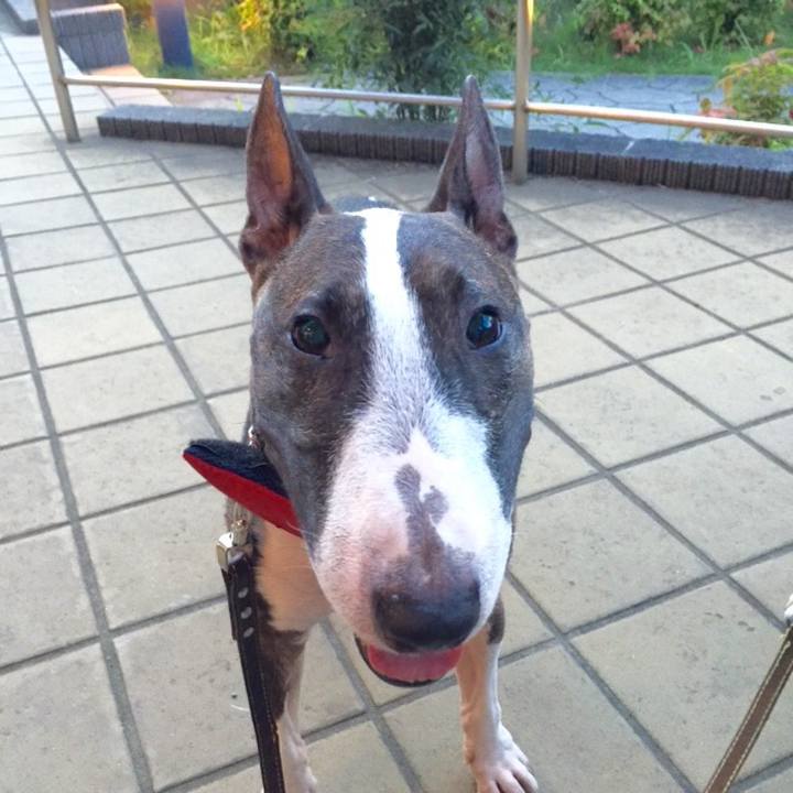 3bdc8b76 c268 4865 b89a 5da53c9c83e4