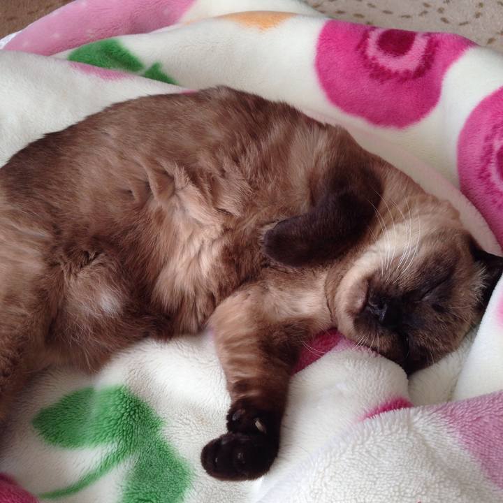 3bdc971a 70ae 4286 95ec 2285863d5226