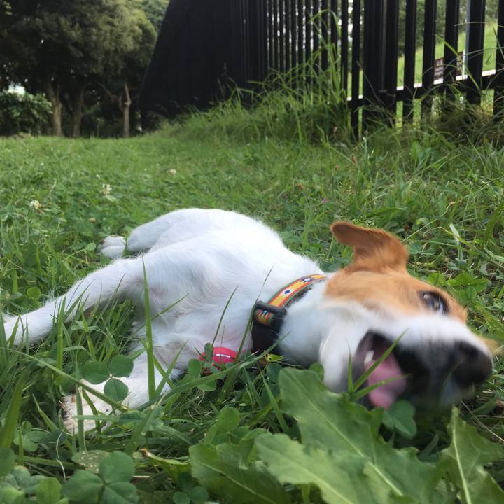 3bdcaab2 3751 491b be5a e624987dadab