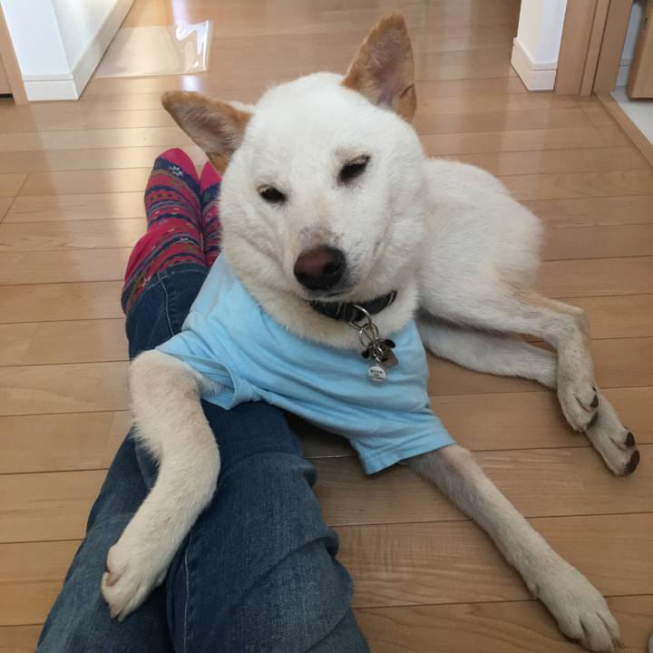 3bdcb0d7 be28 441c b206 fe06f9b64abc