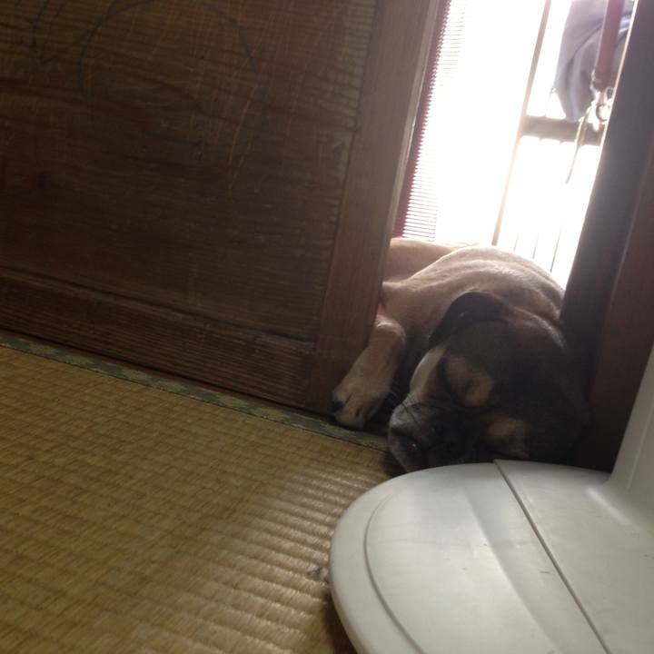 3bdcf592 3315 48d4 8d2c 9a5473b47d76