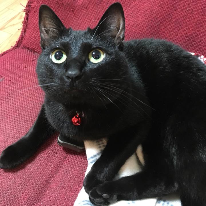 3bdf77f2 264b 41b9 a8cf 27cb6de3e501