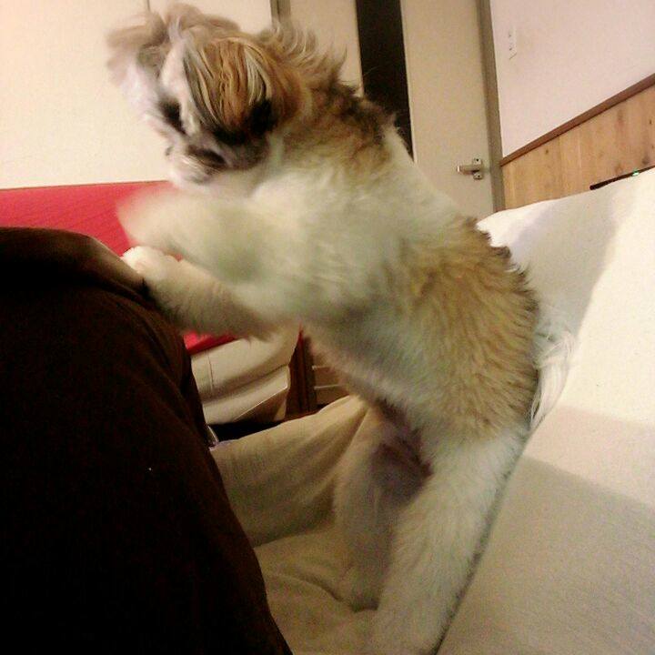 3bdfc80d 2fd1 4c0c 875e 502213adb5b3