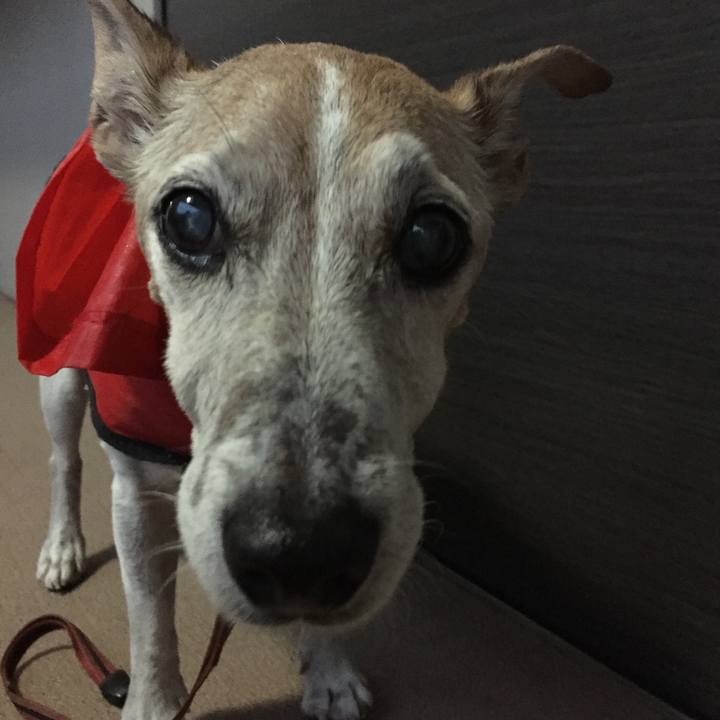 3be0380b 673e 4256 ae44 a6bf3615eefb