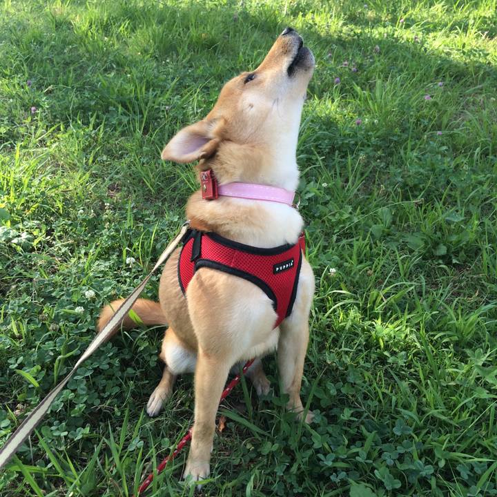 3be15d13 9118 4fc9 96b9 9ce5e5e75368