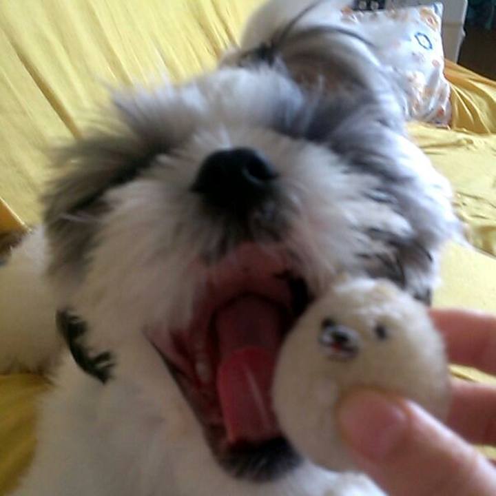 3be172a3 6d7f 4205 aa8c fceb419f1d03