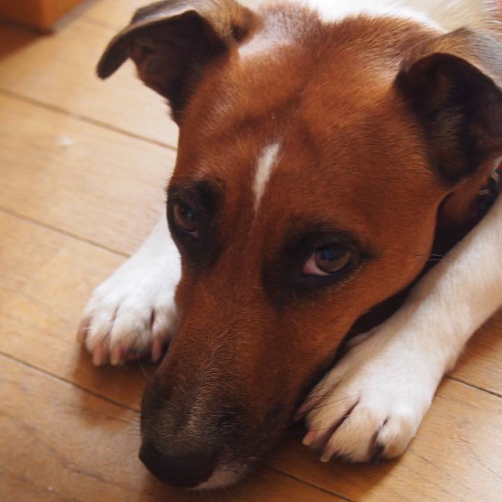 3be1e0f3 a7a8 41fc b772 d12410eee741