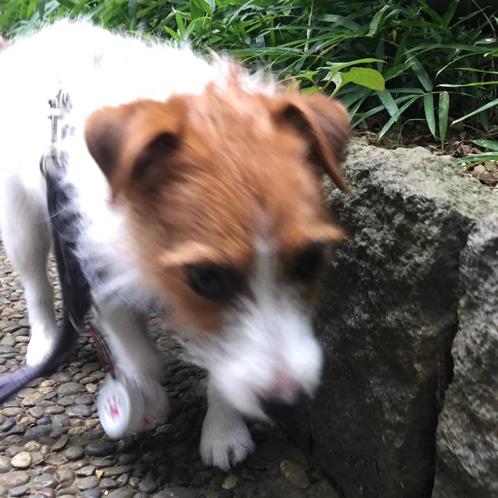 3be2a3a9 5f0b 49f1 9491 92436eb63aa2