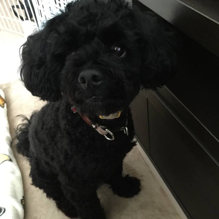 3be2addd 4a88 4be0 8c73 b4dc7fab364e