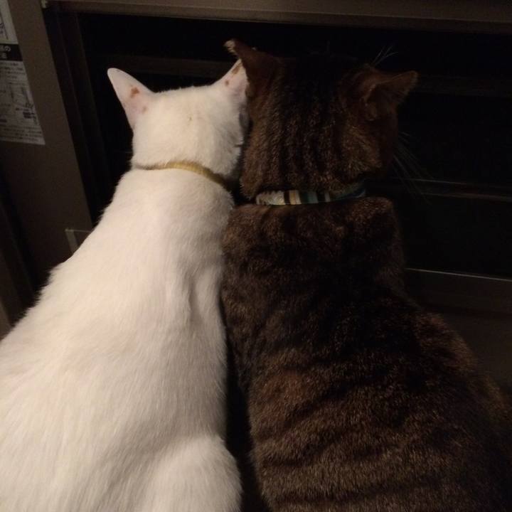 3be2b21f 87de 42a5 9cea a0a304bbc014