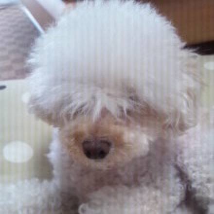 3be2d809 a21d 49bc a27a 4c1b4f18a20f