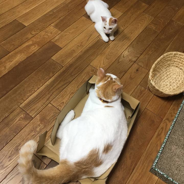 3be3d6df 0c27 4d89 803e e53f639225a4