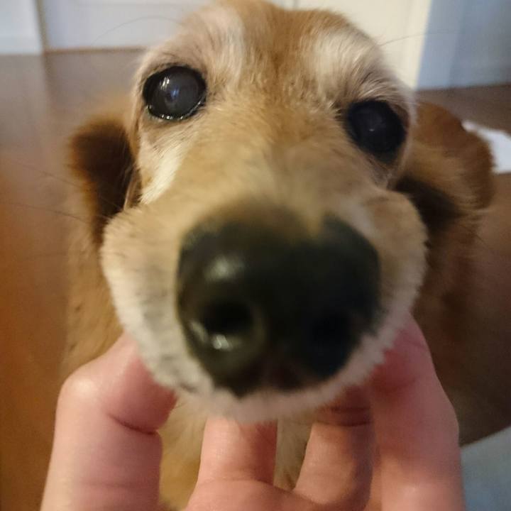 3be3f602 f5f8 4d54 bee3 5ea4104c198f