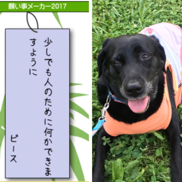 3be3f900 3024 4226 919a 01116eb3cd6d