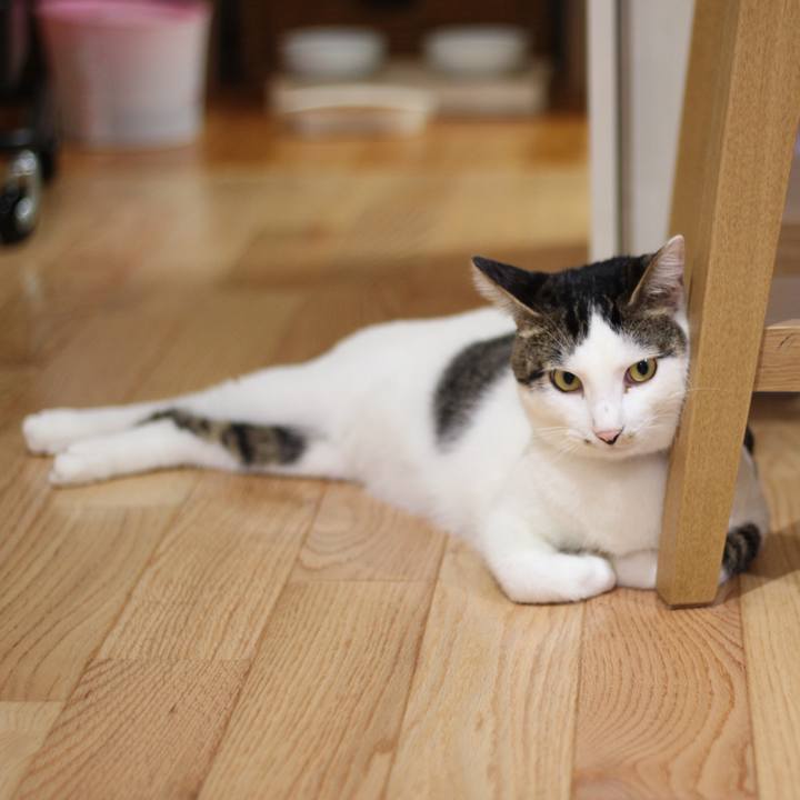 3be3fd30 4c27 4379 8844 f2b76fa31303