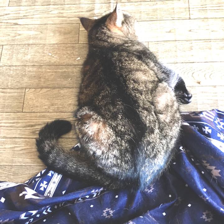 3be444d4 1c00 406a b724 90b740ef9938