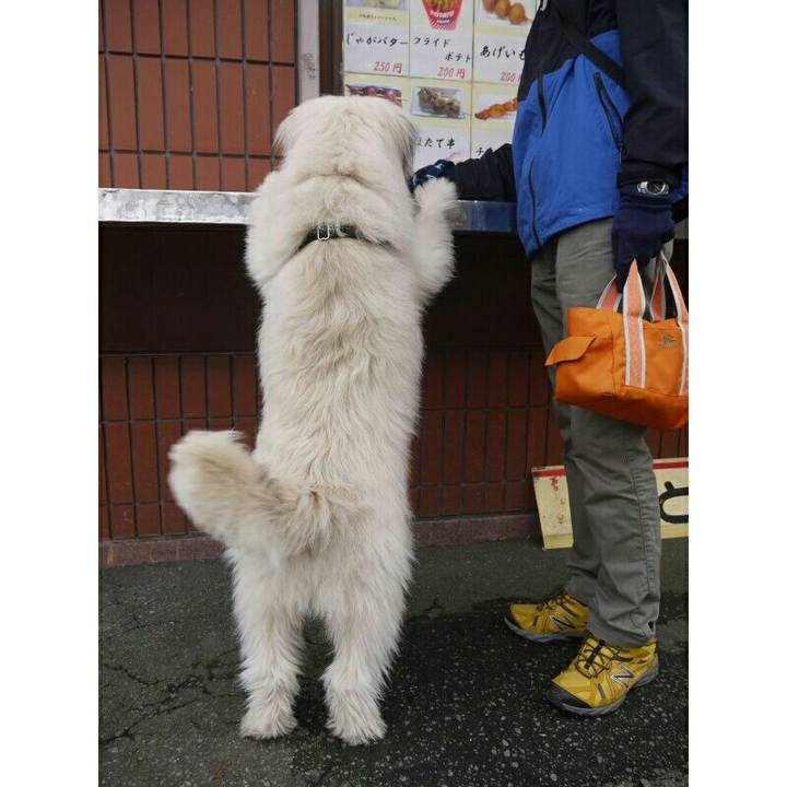 3be4d036 3f2c 44e2 80e5 68a5a44ab531