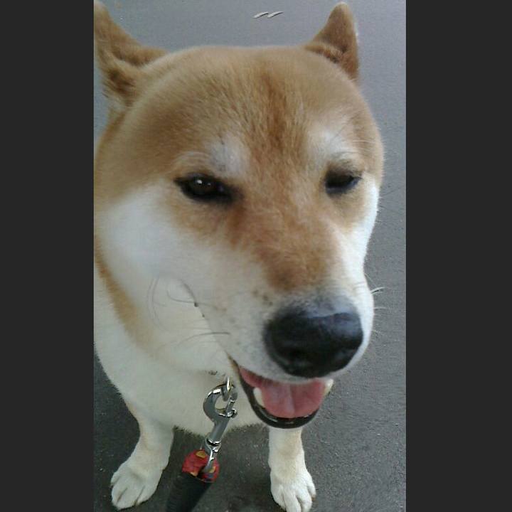 3be52d54 2ace 48bd 9055 750260cdd09e