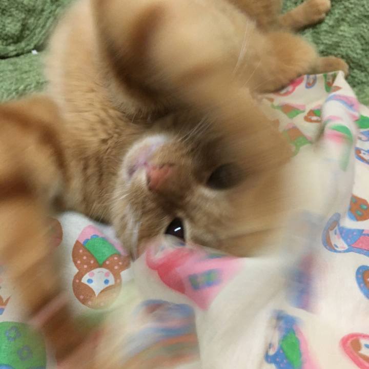 3be5f60e 4f50 4da9 a1a9 db2ee78b429a