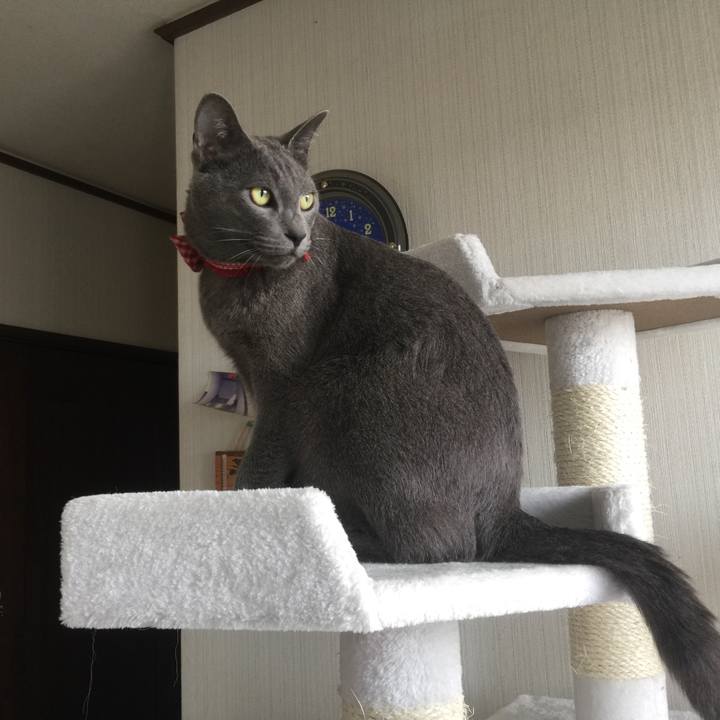 3be6d05f f2f0 40e5 8a5d 0aa5ed5a7c96