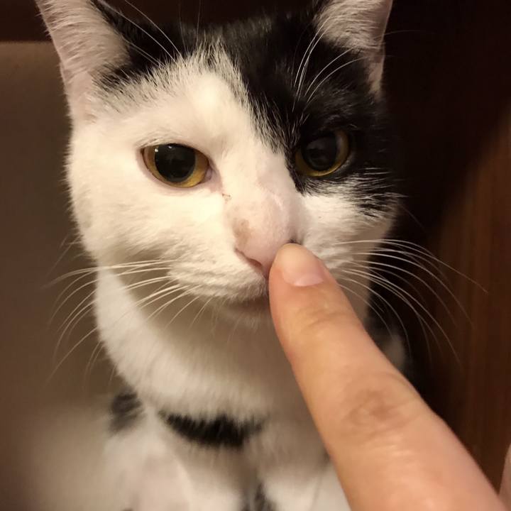 3be730e2 01ba 4df2 91e0 28cf16b489f2