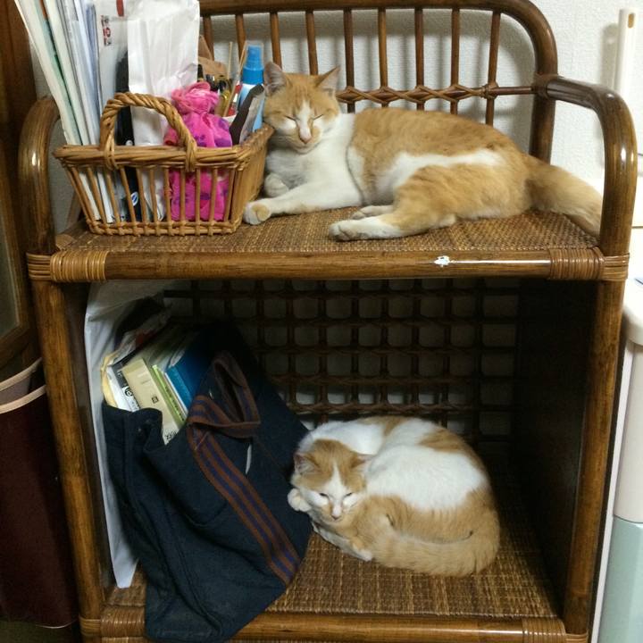 3be7f80e 727b 40b7 96d2 127a9b44834c