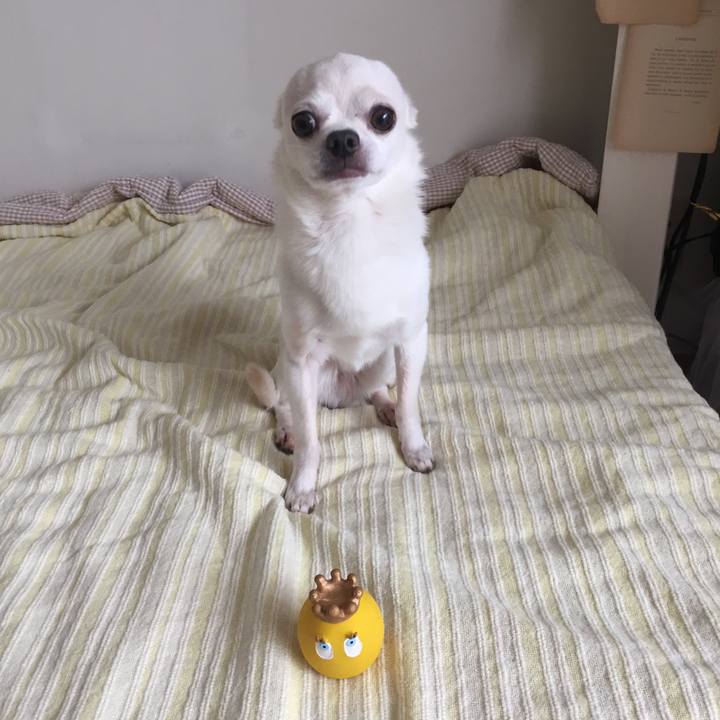 3be89ec0 feda 4966 becb 2d3f0bc4d1df