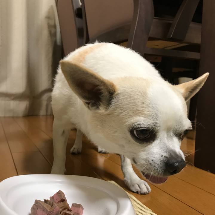 3be8d9ba 96a8 40d0 bf01 c09bbd816fc4