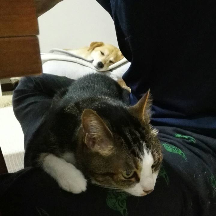 3be8dd67 479b 4fa0 ad6d 8729ca9320a5