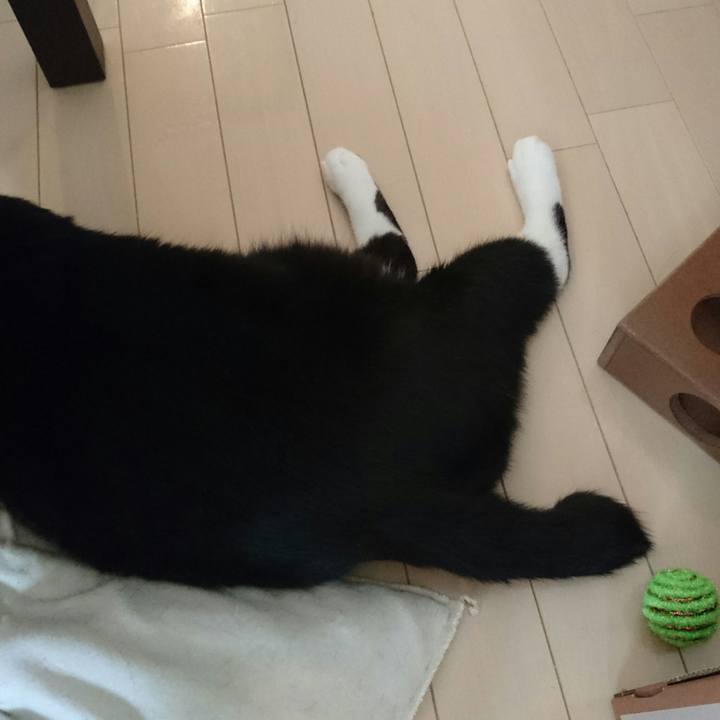 3be8fd20 85c5 4b58 8982 b875f813def0