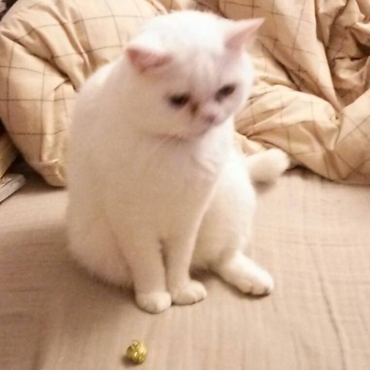 3be9526d b142 41c6 83e8 cb74f7cd3b41