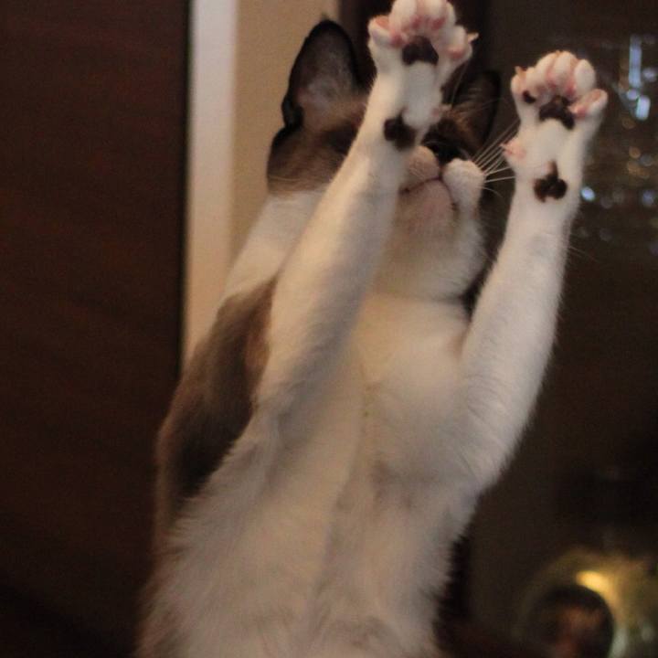 3be9eb18 7667 4095 abd1 5d3657c2c237