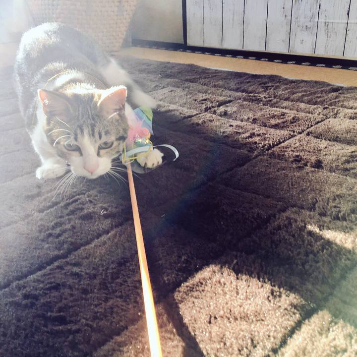 3bea54c9 826a 442c 9fde 07958f594db9