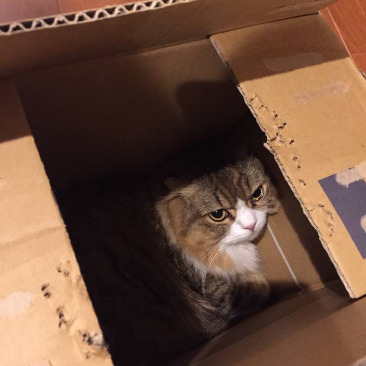 3bea7adb 5b74 476c 9ba1 cb674f3ec587