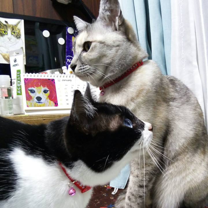 3beb1d03 15cf 47ae 8554 ebdc32365c6b