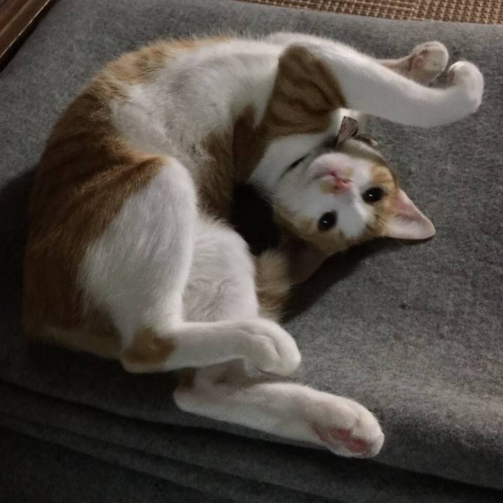 3beb415a 6c16 41b9 80aa e5cf2cf67da7