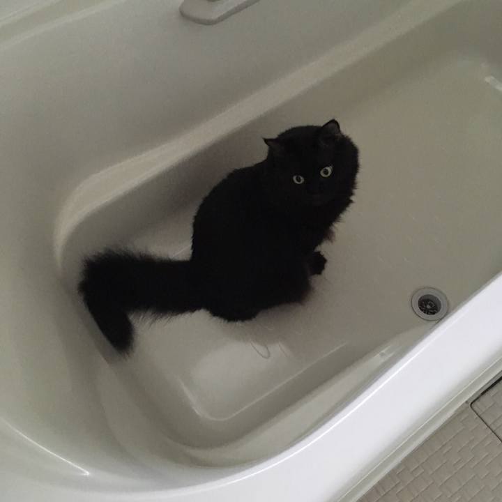 3beb8bf4 1dd9 4d97 871d 1f95b0e6c0ee