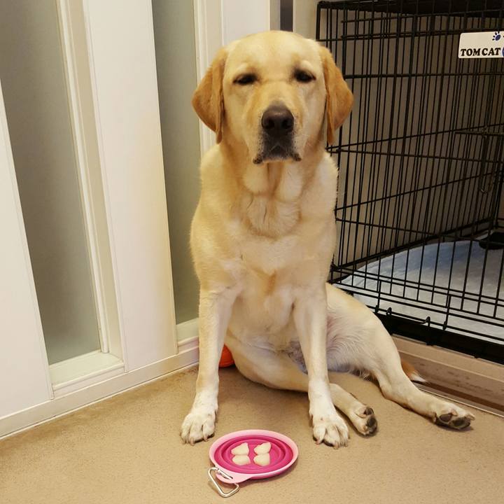 3bebc188 653c 4c49 85f8 d5e871c805ed