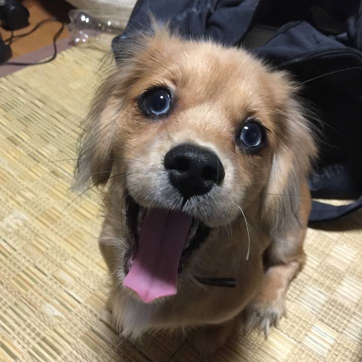 3bec0b8c 5962 4920 987d d8c5f87e8703