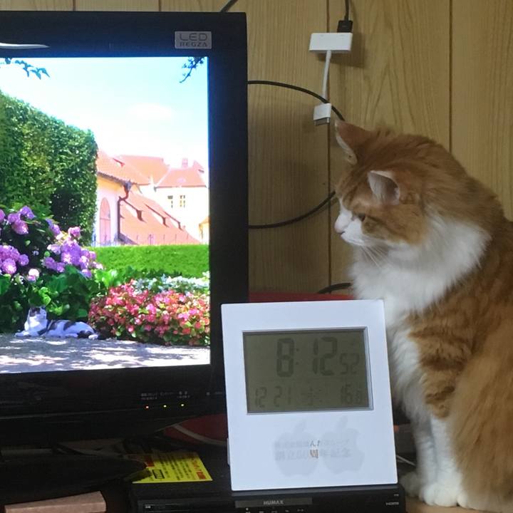 3bec2cf5 c7e2 4430 a400 d25c6521f907